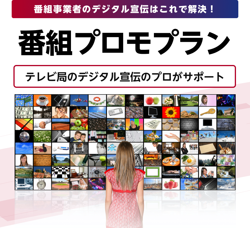 番組事業者のデジタル宣伝はこれで解決！ 番組プロモプラン テレビ局のデジタル宣伝のプロがサポート