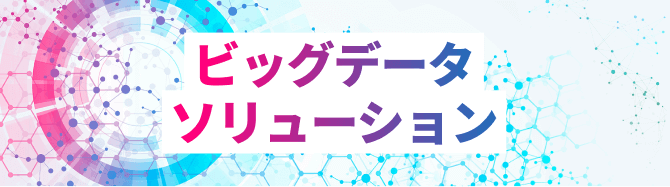 ビッグデータソリューション